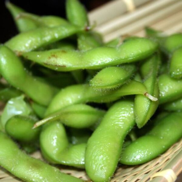 Edamame